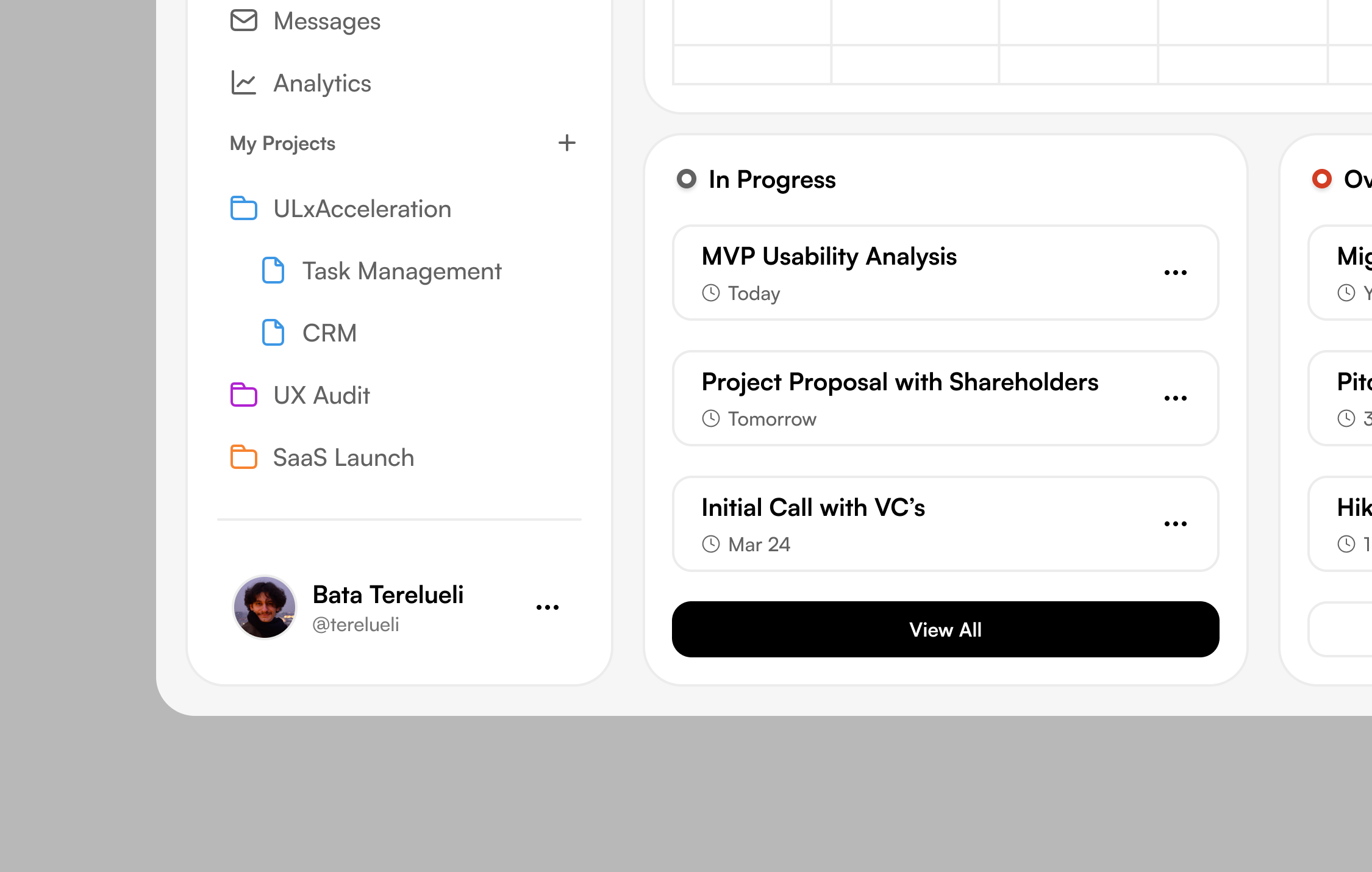 A screen of Bata Terelueli's task management project